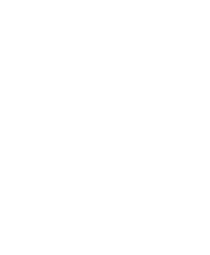 Physioplus logo